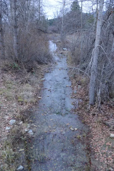 DSC_0978 (Large).JPG